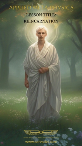 Cover image: Reincarnation